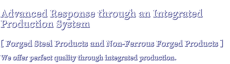 Advanced Response through an Integrated Production System Forged Steel Products / Heat Exchangers We offer the highest quality through integrated production.