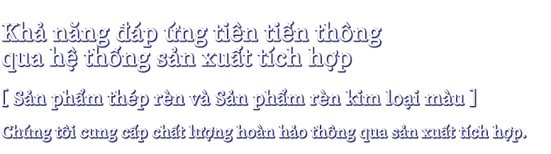 Khả năng đáp ứng tiên tiến thông qua hệ thống sản xuất tích hợp(Sản phẩm rèn)( Thiết bị trao đổi nhiệt)Chúng tôi cung cấp chất lượng hoàn hảo thông qua sản xuất tích hợp.